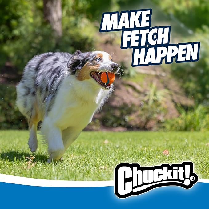 Chuckit! Ultra Ball Dog Toy - Medium Bouncy Fetch Balls for Dogs 20-60 lbs - Made from Durable Rubber - Floating Water Pet Toys - Size Medium - 2.5-inch Diameter, 2 Count, (Pack of 6)
