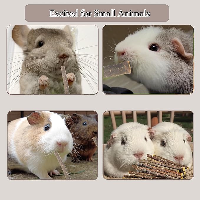 200g Apple Sticks for Rabbits, Molar Apple Wood Treats Chew Sticks Toys for Chinchillas Guinea Pig Hamster Gerbil Parrot Bunny Small Animals