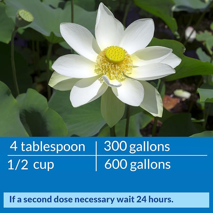 API Pond ACCU-Clear (1 Gallon) Water Clarifier - Improves Filter Efficiency | Quickly Cleans Cloudy Pond Water - Treats Up To 19,200 Gallons - Safe for Pets & Wildlife - Weekly Maintenance or As Needed
