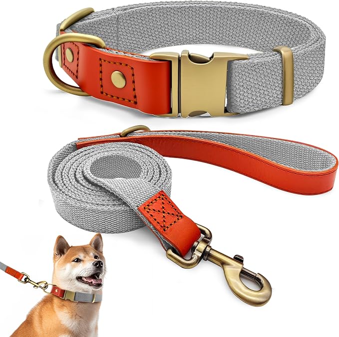 Dog Collar and Leash Set with Metal Quick Release Buckle, Adjustable, Breathable Nylon, Durable, Soft and Comfortable, No Pull for Walking and Training, Silver-Gray, L (14.9"-22.8")