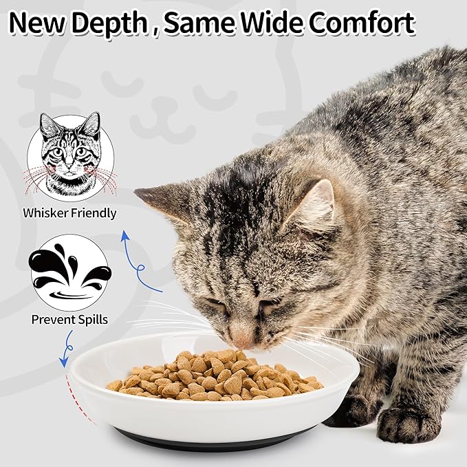 Cat Food Bowls, Whisker Friendly Ceramic Cats Bowls with Nonslip Silicone Base, Pack of 3 Quiet Dishes and Plates for Feeding Indoor Cats, Kittens and Small Dogs(Fishbone,Deeper)