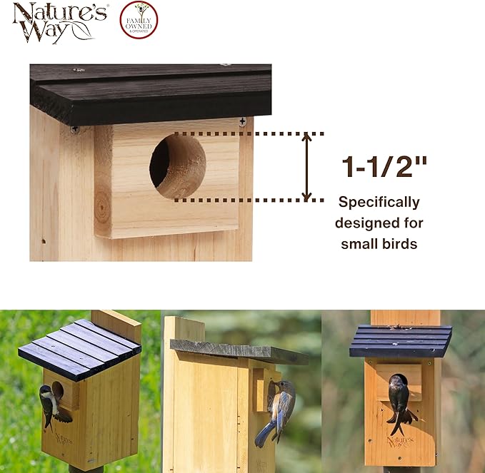 Nature's Way Bird Products CWH4 Cedar Bluebird Viewing House