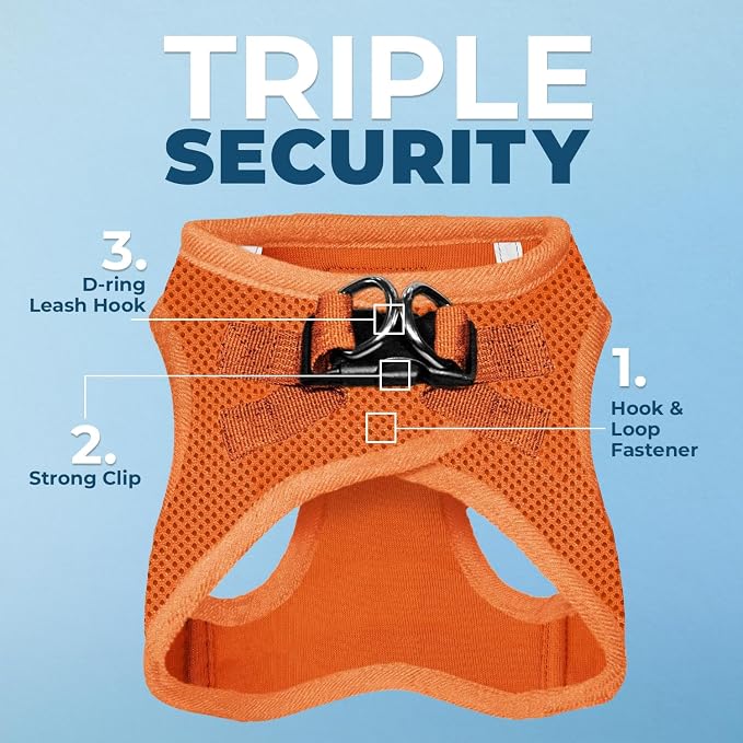 Best Pet Supplies Voyager Step-in Air All Weather Mesh Harness and Reflective Dog 5ft Leash Combo with Neoprene Handle, for Small, Medium and Large Breed Puppies - Orange, XX-Small