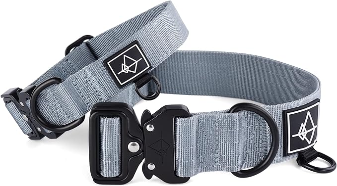 Made to ROAM Premium Dog Collar - Adjustable Heavy Duty Nylon Collar with Quick-Release Metal Buckle (Virginia Mountains, Classic Size 2)