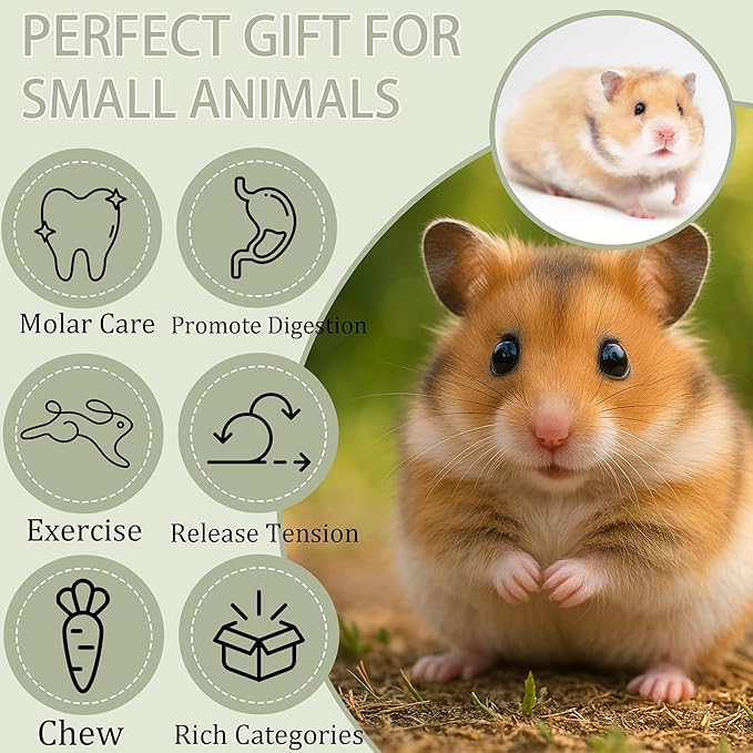 Fruit-Infused Balsa Wood Chew Toys, 16PCS Strawberry Orange and Pitaya Molar Blocks for Hamsters, Guinea Pigs and Chinchillas, 0.8 Inch Natural Small Animal Teeth Grinding Treats