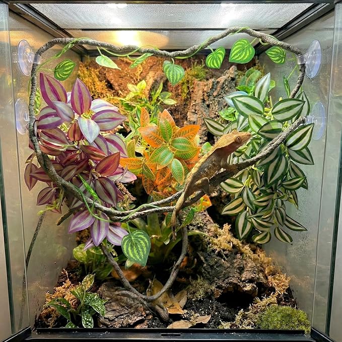 5 Pcs Reptile Plants & Habitat Decor Kit - 3 Artificial Hanging Plants & Large 3.3ft Jungle Vine Branch, Terrarium Tank Climbing Accessories for Crested Gecko, Bearded Dragon, Lizard, Snake, Chameleon