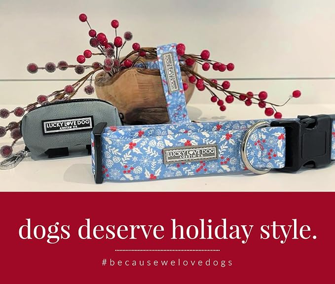 Lucky Love Dog Martingale Dog Collar & Leash - Adjustable, No-Slip, Durable, Comfortable, Soft Webbing, & Stylish Patterned Collar & Leash Set for Male and Female Dogs - Winterblue Combo, Small
