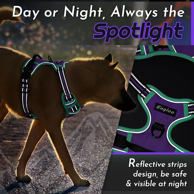 Eagloo Dog Harness Small Sized Dog, No Pull Service Vest with Reflective Strips and Control Handle, Adjustable and Comfortable for Walking, No Choke Pet Harness with 2 Metal Rings, Purple & Green, S