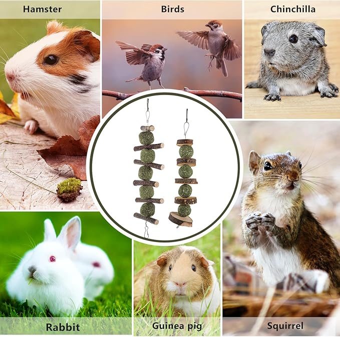 COHEALI 2 Pcs Apple Wood Pet Chewing Stick for Rabbits Hamsters and Small Animals Natural Grass and Wood Material for Healthy Dental Care and Nutritional Play