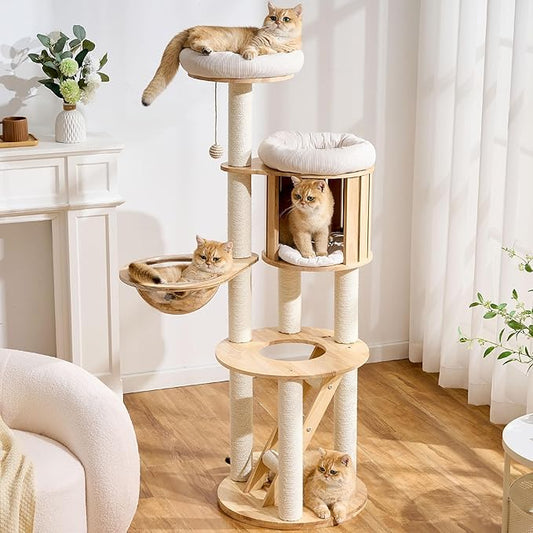 797Audio Wood Modern Cat Tree, 61.5" Tall Cat Tower with Sisal Scratching Posts, Cat Condo, Capsule and Ladder, Solid Wooden Aesthetic Multi-Level Cat Climbing Tree for Large Adult Indoor Cats