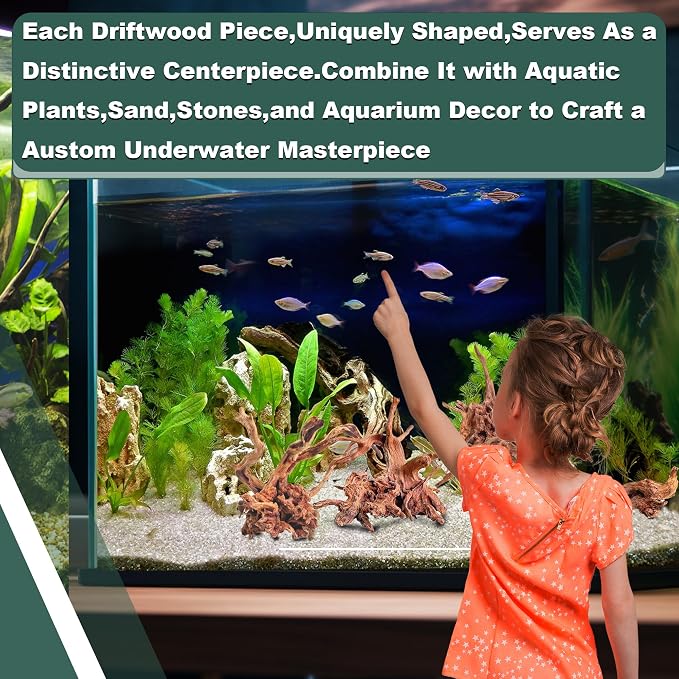Natural Wood Driftwood for Aquarium Fish Tank Decor,Assorted Driftwood Trunk Branch for Reptile Tank Decor (LLM-Driftwood (10 to 12 Inch)-Pack of 2)