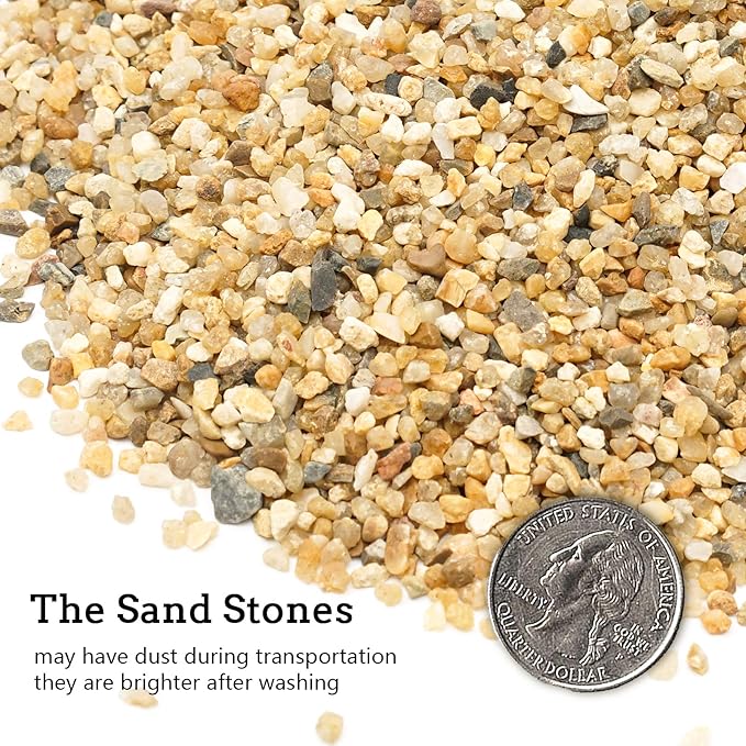 5 lb Coarse Sand Stone - Succulents and Cactus Bonsai DIY Projects Rocks, Decorative Gravel for Plants and Vases Fillers，Terrarium, Fairy Gardening, Natural Stone Top Dressing for Potted Plants.