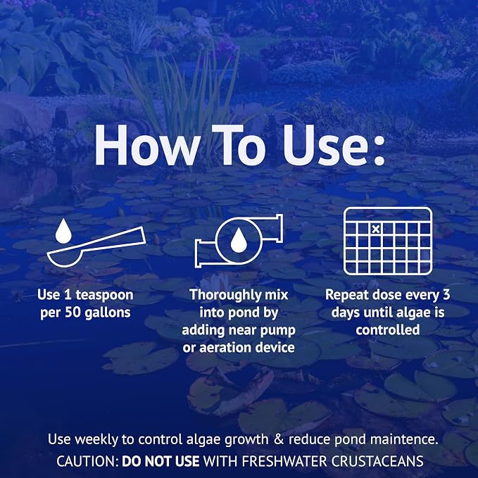 API POND ALGAEFIX (16 fl oz) Pond Algae Control - Copper Free - Clean, Clear Water - Up to 4800 Gallons - Safe for Fish & Plants - Water Gardens, Fountains - Natural Active Ingredient - EPA-Registered