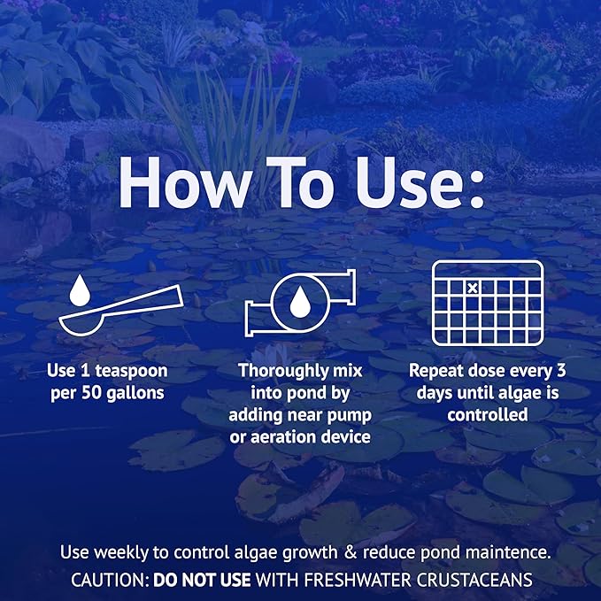 API POND ALGAEFIX (8 fl oz) Pond Algae Control - Copper Free - Clean, Clear Water - Up to 2400 Gallons - Safe for Fish & Plants - Water Gardens & Fountains - Natural Active Ingredient - EPA-Registered | Pond Algae Control, Copper Free, Up to 2400 Gallo...