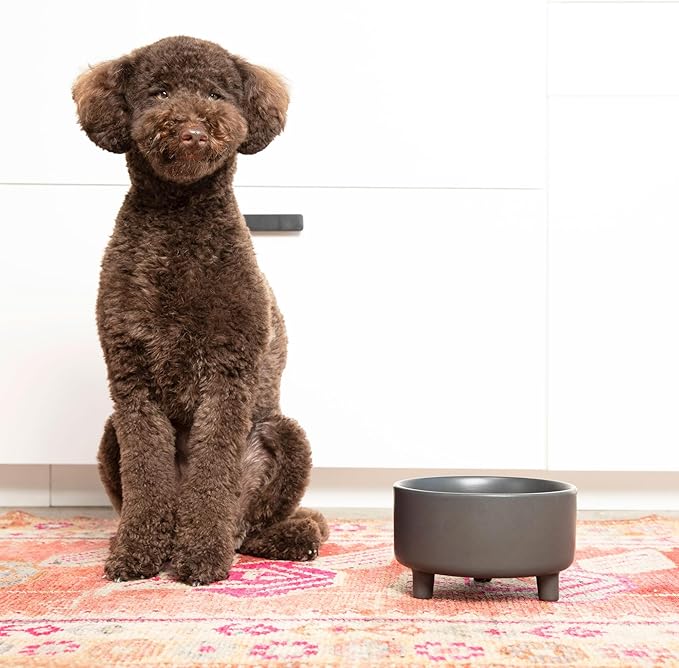 Waggo Uplift Ceramic Dog Bowl for Small Medium and Large Breeds - Set of 2 Heavyweight and Durable Pet Food and Water Dish Crock, Dishwasher Safe, Modern, Elevated Feeder (Black, Medium)