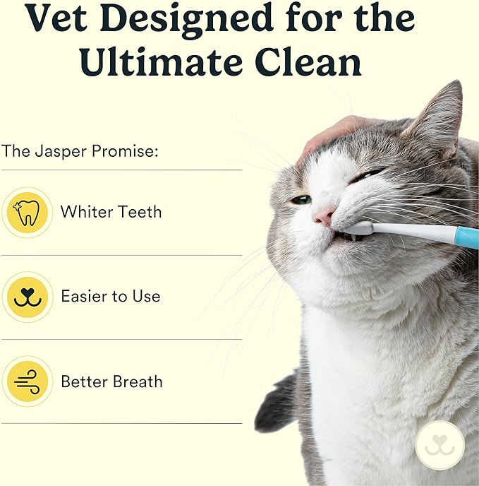 Jasper Microbrush Vet Approved Cat Toothbrush, Soft-Bristled Toothbrush Kit for Felines & Small Dogs, Non-Slip Handle with 2 Replaceable Tooth Brush Heads, Use with Cat Toothpaste, 2-Pack, Blue
