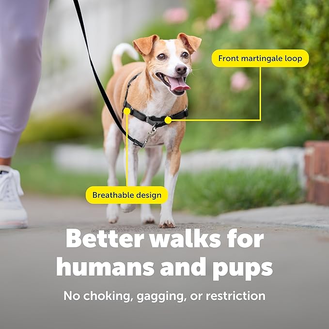 PetSafe Easy Walk No-Pull Dog Harness - The Ultimate Harness to Help Stop Pulling - Take Control & Teach Better Leash Manners - Helps Prevent Pets Pulling on Walks, Small, Raspberry/Gray