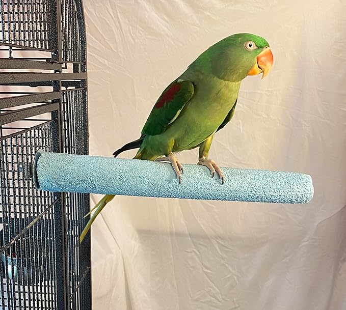 Polly's Pastels Nail Trimming & Beak Conditioning Safety Perch for Cockatiels, Cockatoos, Macaws, Parakeets, Budgies, Parrots and All Other Birds (Blue, Large Long-1 1/2
