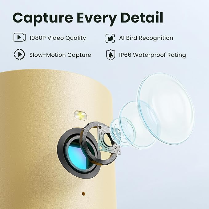 Birdfy Smart Bird Feeder with Camera for Rookie, Camera Bird Feeder Dual Night Vision, AI Recognition IP66 Waterproof for BirdLovers, 1.3L Capacity