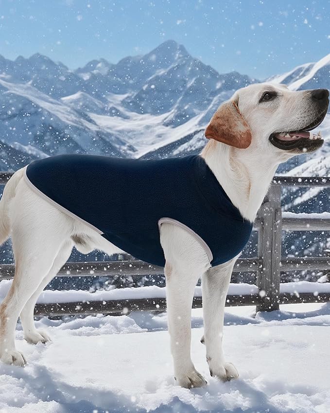 XPUDAC 4 Pack Fleece Dog Sweaters Vest Soft Lightweight Breathable Doggie Clothes for Small Medium Large Dogs Boy Winter Warm Pet Pullover Jacket Sweatshirt Puppy Coat, 511-3XL