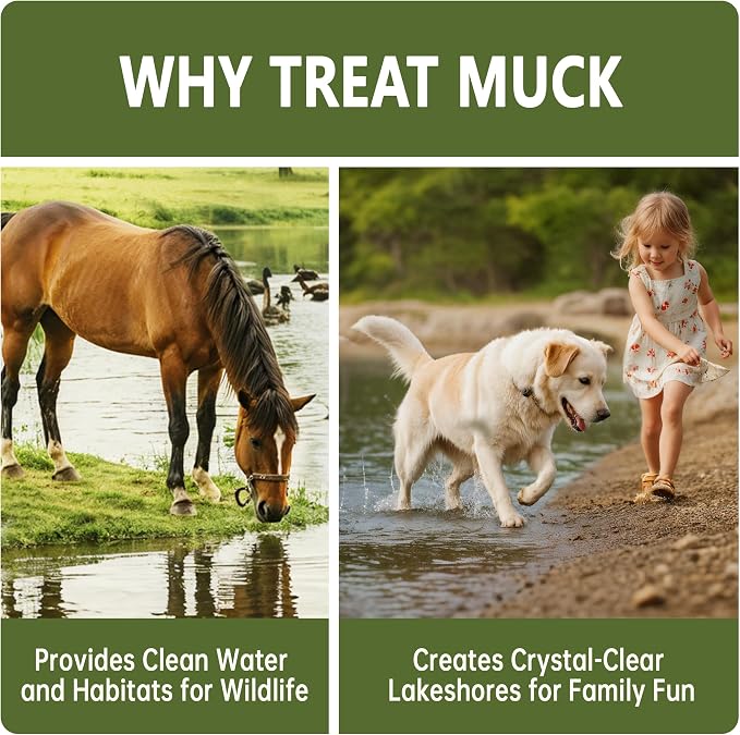 LMJP Muck Reducer for Ponds, Sludge Solution, Away Muck & Odor Control, 5LB | Pond & Lake Cleaning, Natural Beneficial Bacteria & Enzymes, Safe for Fish, Wildlife & Recreation, Treats Up To 30,000 Sq Ft