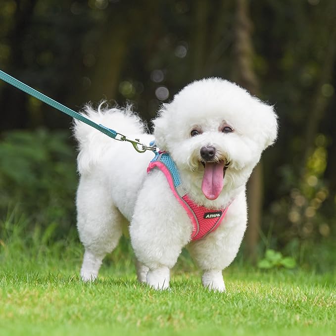 AIITLE Easy Walk Dog Harness and Leash Set - Pet Supply No Pull, Step in Adjustable Dog Harness with Padded Vest, Dog Harness No Choke Over, Easy to Put on Medium Dogs Hot Pink L