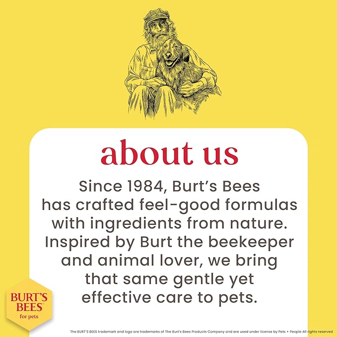 BURT'S BEES FOR PETS Hypoallergenic Cat Shampoo with Shea Butter and Honey, Gentle Formula for Indoor Cats with Dry or Sensitive Skin, pH Balanced, Fragrance-Free, 10 Fl Oz - 2 Pack