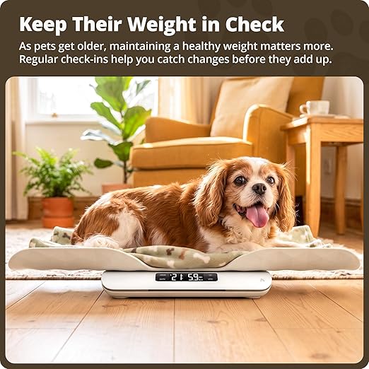 Greater Goods Digital Pet Scale for Cats & Dogs – Wiggle-Proof Technology, 0.1 lb Precision, 44 lb Capacity Scale for Kittens, Puppies & Small to Medium Animals