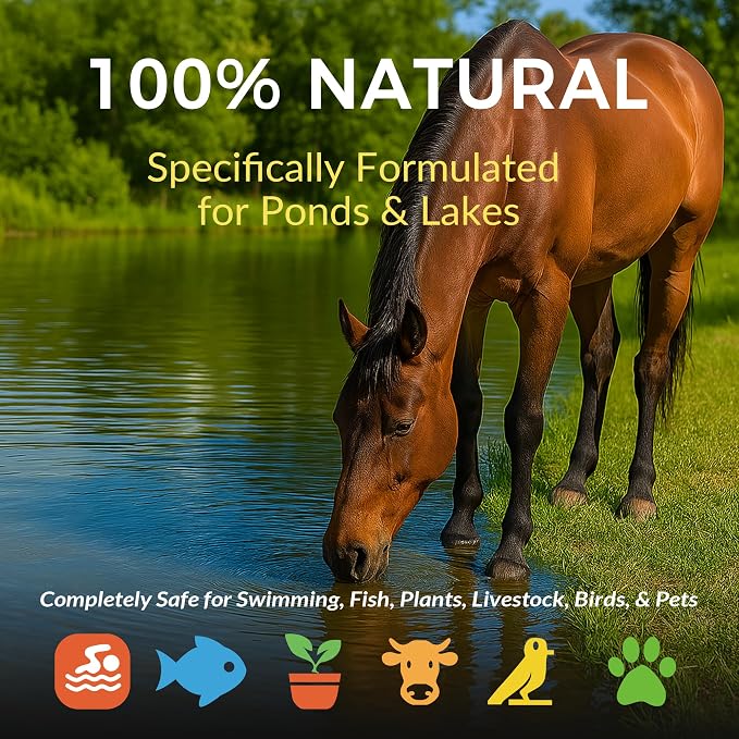 Muck Clear - 15LB Beneficial Bacteria for Ponds & Lake, Boost Enzymes, Sludge Odor Away, Outdoor Fish Pond Water Clarifier, Safe for Aquatic Life, Treats Up to 90,000 Sq Ft