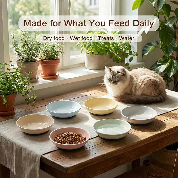 Ceramic Cat Food Bowls 6 Pack – Shallow Cat Bowl with Non-Slip Silicone Base, Whisker-Fatigue Dishes for Indoor Cats – Microwave Dishwasher Safe – 5.3 oz Colorful Pet Plates for Wet Dry Food Water