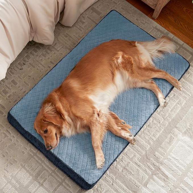 JOEJOY Orthopedic Dog Bed for Extra Large Dogs, Washable Dog Crate Bed Large Sized with Removable Cover, Egg Memory Foam Big Pet Beds, Light Blue, 47"x29"