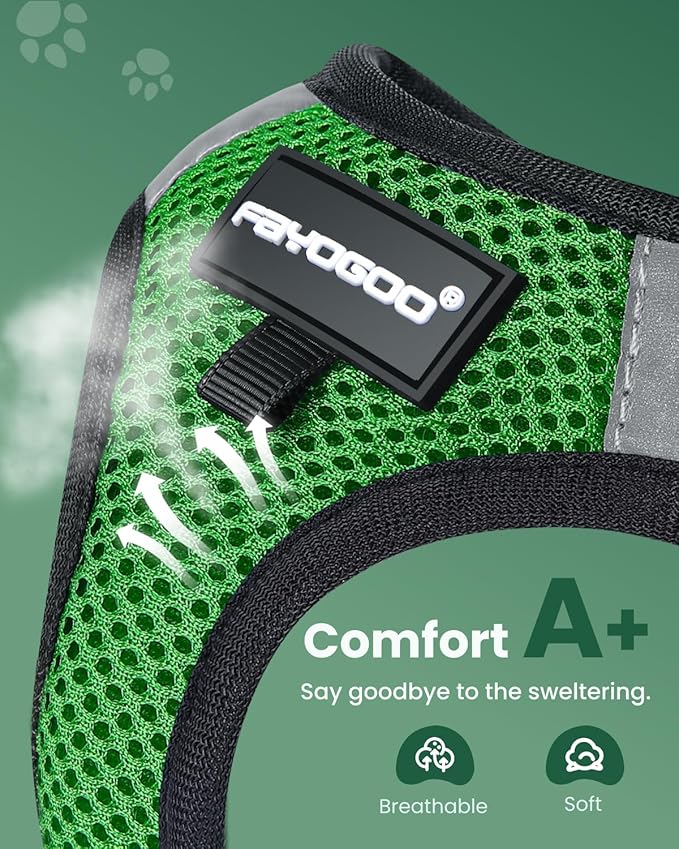 FAYOGOO Cat Harness, Cat Leash and Harness Set for Walking Escape Proof, Harness for Small Cats/Small Dogs, Large Kitten/Puppy Harness and Leash, Harness for Cats S-XXL(Neon Green, Large)