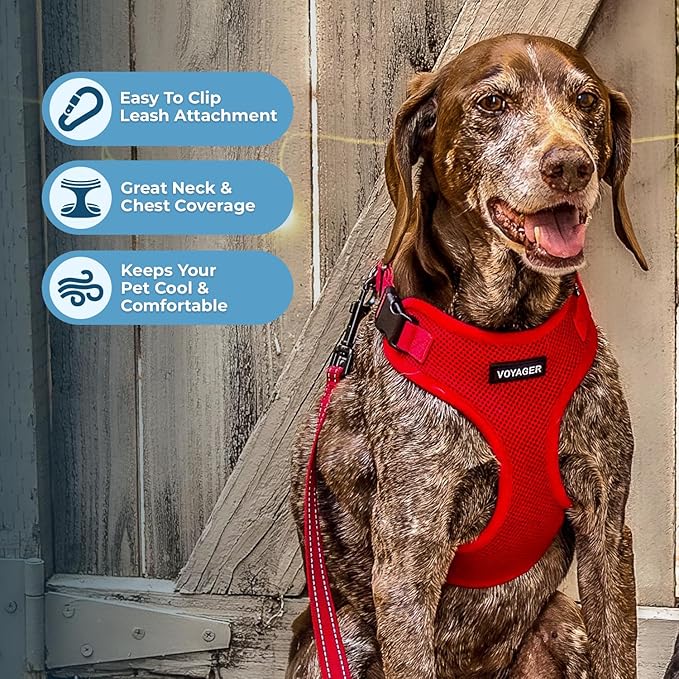 Voyager Step-in Pet Harness - All Weather Mesh, Adjustable Step in Harness for Cats and Dogs by Best Pet Supplies - Red, XL