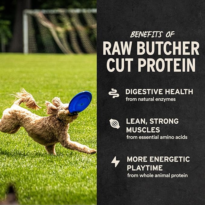 Vital Essentials Freeze Dried Dog Treats | Beef Liver, Single Ingredient | Premium Quality | Grain Free Training Treats for Dogs, 15 oz Bag