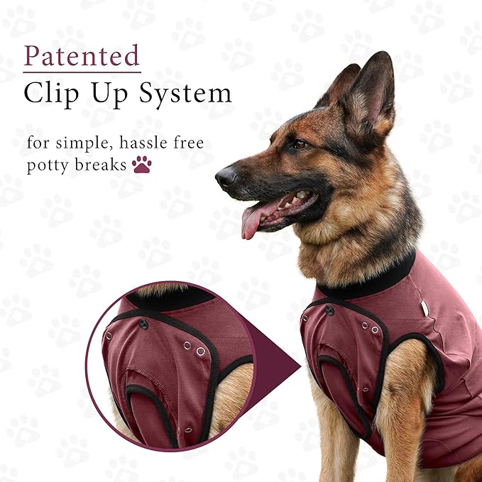 BellyGuard Dog Surgery Recovery Suit, Dog Onesie for Post-Op Care, Recovery Apparel for Female and Male, Surgical Body Cover for Canine Healing Support