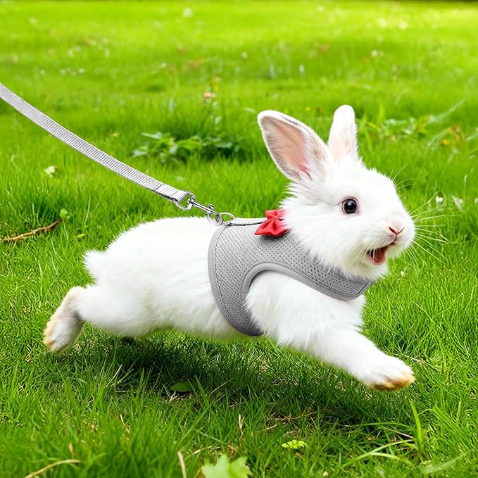 Breathable Soft Mesh Vest Harness & Leash Set for Rabbits, Bunny, Kitten, Ferret, Small Pig, Puppy, Small Pets – Gray, Medium