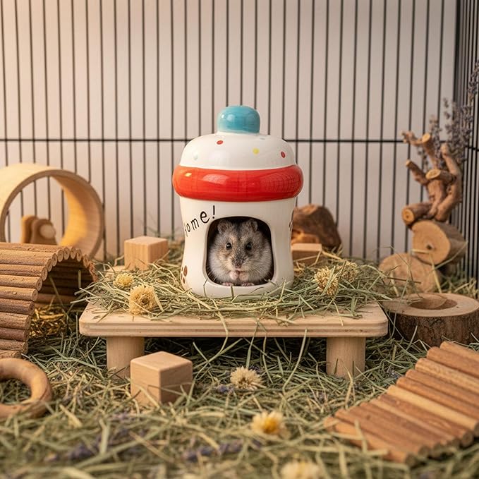 Hypeety Dwarf Hamster Hideout Adorable Cartoon Shape Hamster House Chinchilla Mini Hut Small Animal Ceramic Hideout Cave (Bottle)