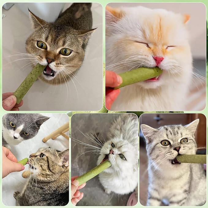 120g Cat Grass Teething Stick, Freeze Dried Cats Grass Stick Edible Cat Chew Toy for Teeth Cleaning Dental Health and Hairball Removal