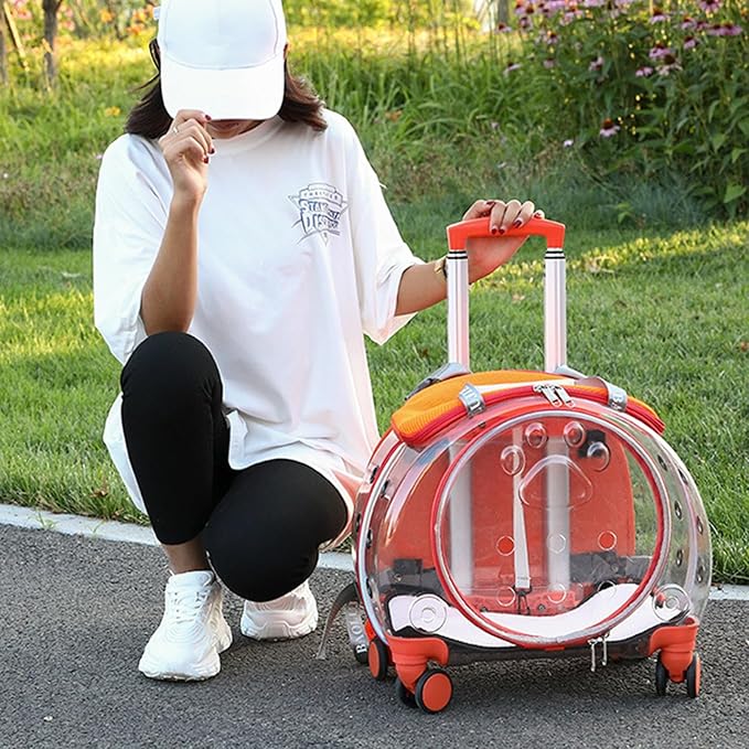 Cat Carrier with Wheels, Transparent Pet Trolley Case, Bubble Cat Carrier Backpack for Small Dogs and Cats, Portable Travel Pet Carrier with Clear Ventilation Holes, for Hiking and Travel Orange