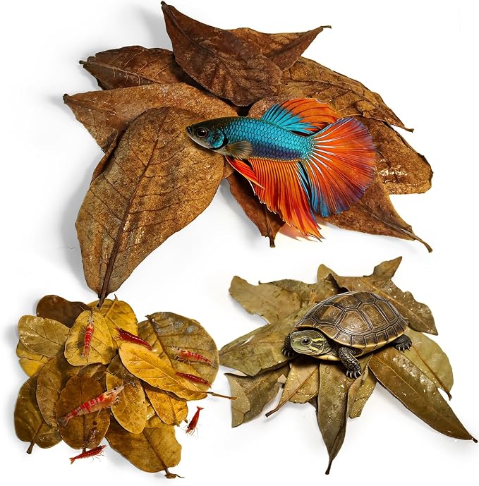 Indian Almond Leaves for Betta Fish,10Pcs Catappa,20Pcs Oak Leaves & 30Pcs Longan,Aquarium Water Conditioner Leaf,pH Balancing Water Conditioner Leaf for Betta Fish,Shrimp,Frogs,Axolotl Tanks