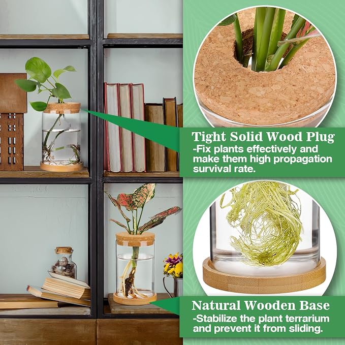 Plants Propagation Station, Gardening Gifts for Women Mom Plant Lovers | Biggun 2Pcs Desktop Plant Terrarium Glass Hydroponic Vases, Water Plant Jars (Thick Straight Shape, Separated Tray Style)
