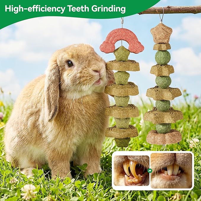 2 Pack Rabbit Chew Toys Bunny Treats, Prevent Teeth Overgrowth, Chew Toys for Guinea Pig/Hamster, Made with Timothy Hay & Vegetables for Rodent Pets, Small Animal Toys