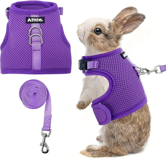 AIITLE Adjustable Rabbit and Leash Set - Lightweight & Portable, Padded Vest with Magic Tape Design, Indoor/Outdoor Use (Training, Hiking) - Fits Hamsters, Rats, Iguanas, Puppies, Cats, Purple M