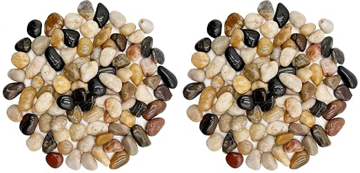 RITOLLO 12 lb River Rocks Pebbles for Indoor Plants 3/8-1 Inch Natural Aquarium Gravel Decorative Fish Tank Rocks Garden Landscaping Decor (Pack of 2)