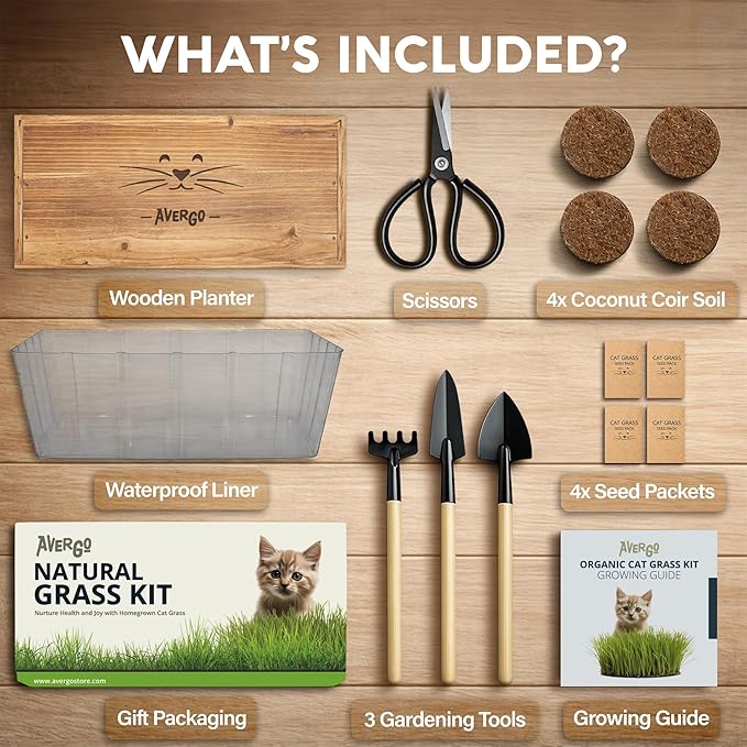 Cat Grass Kit for Indoor Cats – x4 Seed Packets | Cat Grass Seeds with Wooden Planter, Soil & Mini Gardening Tools for Nipping & Nibbling – Pet Wheatgrass Grass