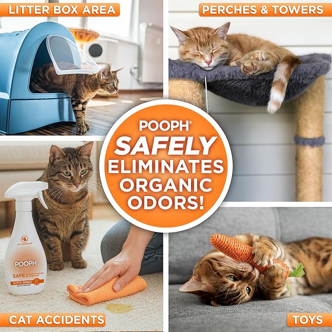 POOPH Kitty Odor Eliminator Spray 32oz Fragrance Free Cat Odor Remover for Urine Poop Pee Litter Box Deodorizer for Furniture Bedding and Carpet