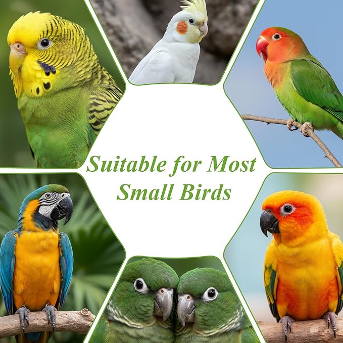 No Mess Bird Feeder for Cage Acrylic, Large Bird Cage Pet Feeder Seed Food Container, for Parakeet Canary Parrot Cockatiels Cockatiels Lorikeet Lovebirds, 6.2 x 6.2 x 6.3 inch