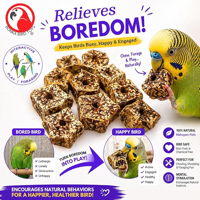 Bonka Bird Toys 3893 Natural Mahogany Sliced Pods Chew Toys, Pack of 12, Durable Bird-Safe Foot Toys, Pre-Drilled for Parrots, Cockatiels, and Small to Medium-Sized Birds, Cage Accessories