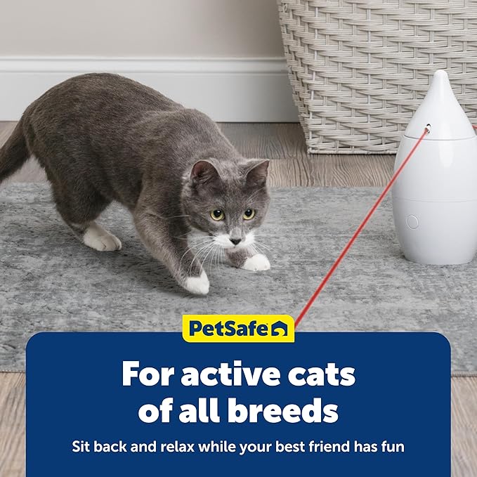 PetSafe Zoom Rotating Laser Cat Toy Includes 2 Interactive Laser Lights