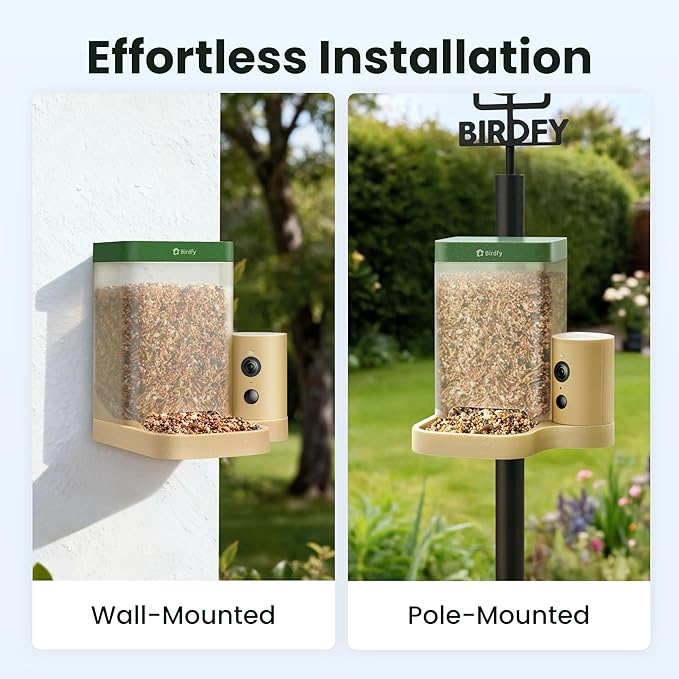 Birdfy Smart Bird Feeder with Camera for Rookie, Camera Bird Feeder Dual Night Vision, AI Recognition IP66 Waterproof for BirdLovers